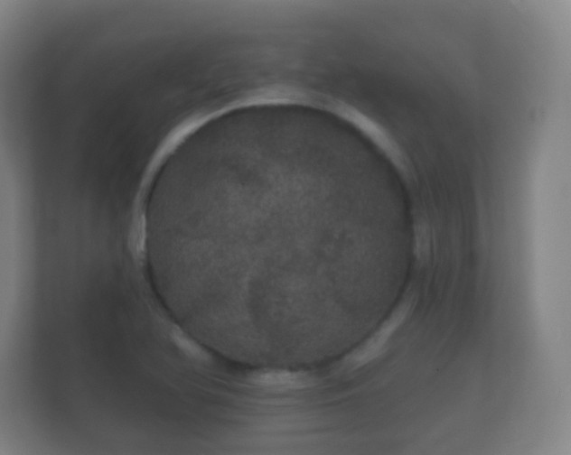 X0000112161366200908141226