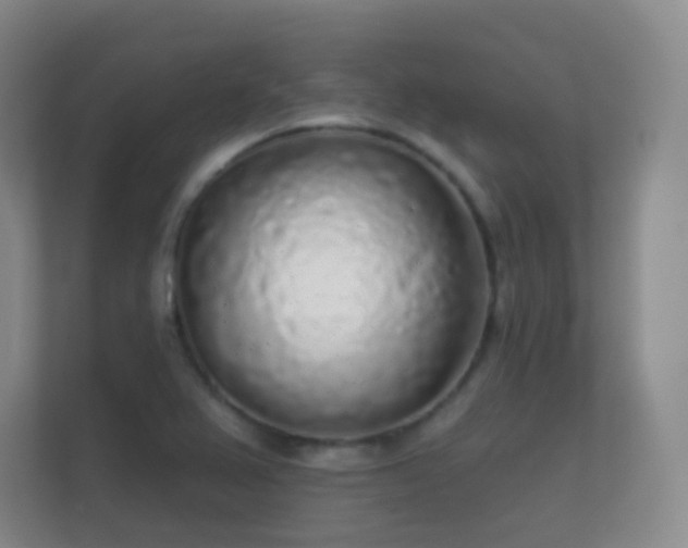 X0000112161367200908141226