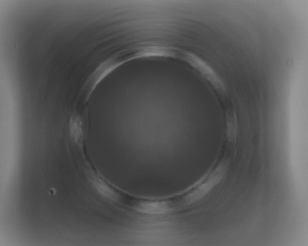 X0000112161369200908141226