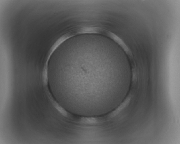 X0000112161370200908141226