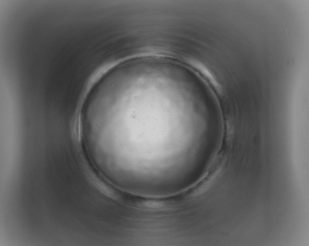 X0000112161371200908141226