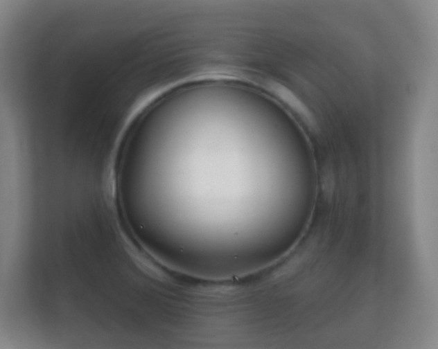 X0000112161372200908141226
