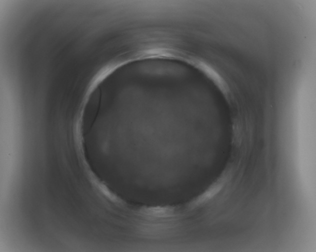 X0000112161373200908141226