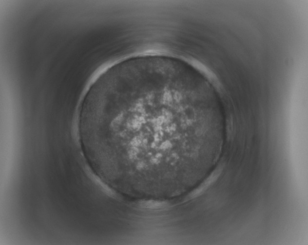 X0000112161374200908141226