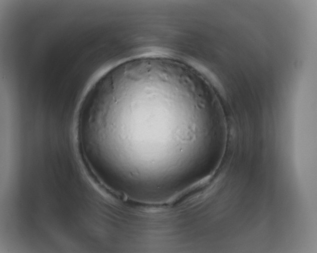 X0000112161375200908141226