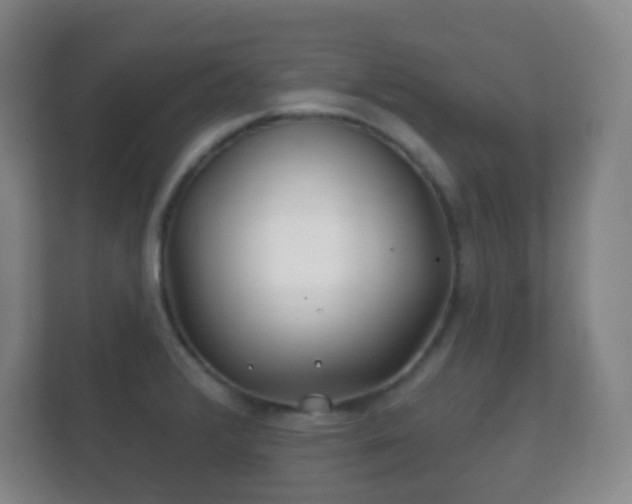 X0000112161376200908141226