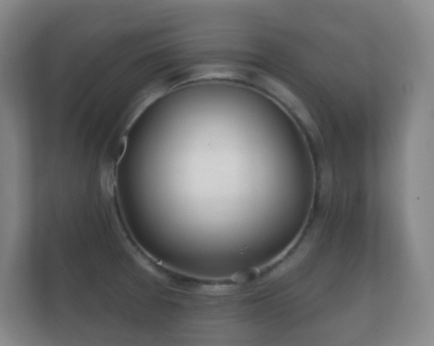 X0000112161377200908141226