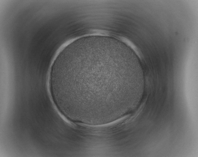 X0000112161379200908141226