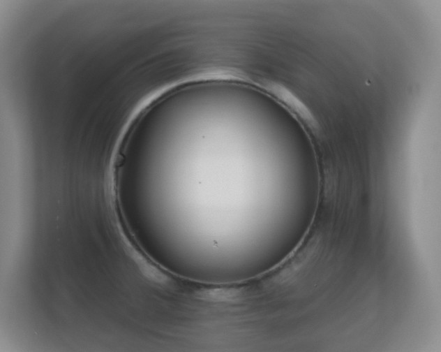 X0000112161380200908141226