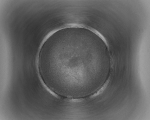 X0000112161381200908141226
