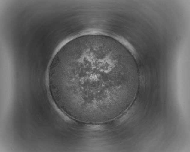 X0000112161382200908141226
