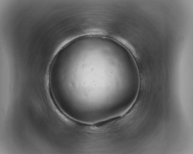 X0000112161383200908141226