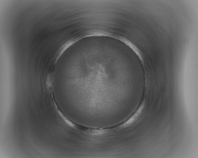 X0000112161385200908141226