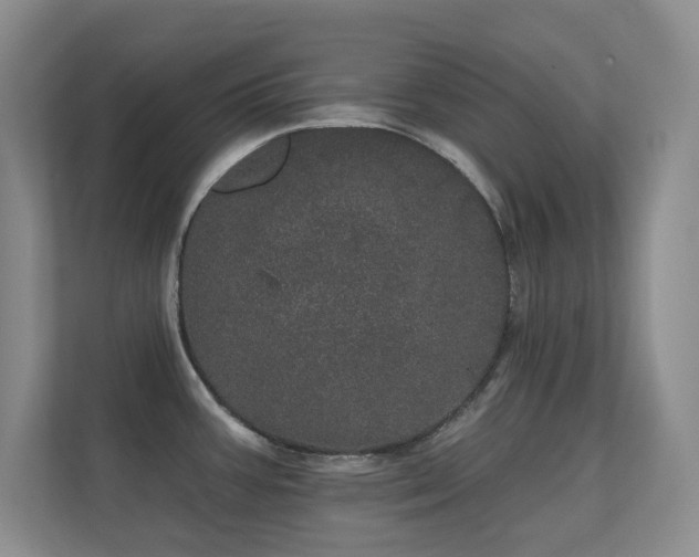 X0000112161387200908141226