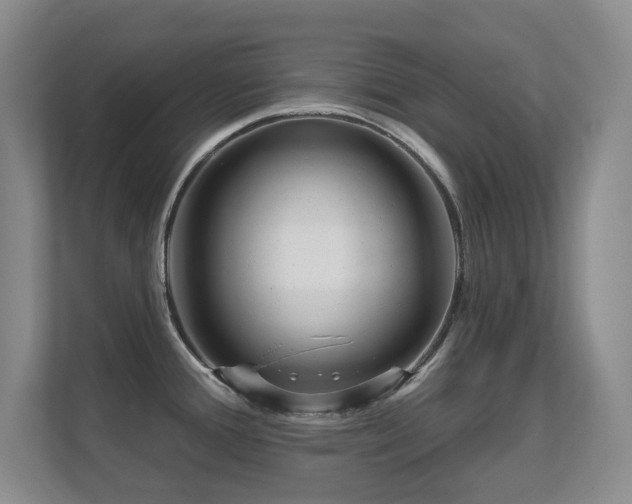 X0000112161388200908141226