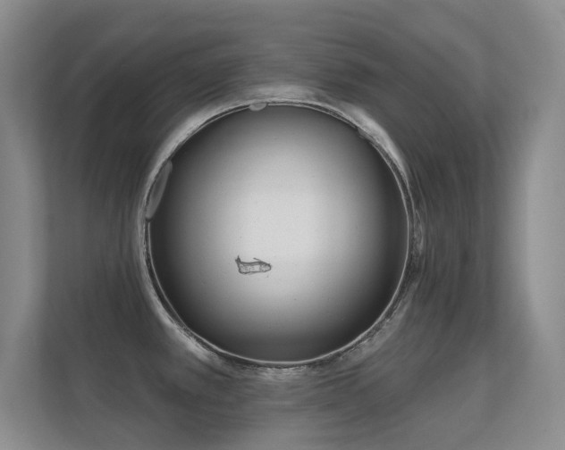 X0000112161389200908141226