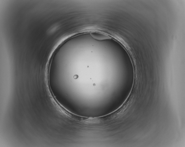 X0000112161392200908141226