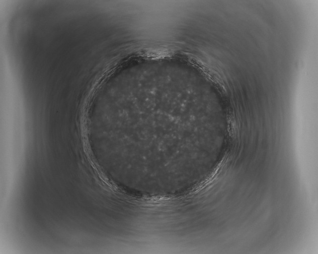 X0000112161393200908141225