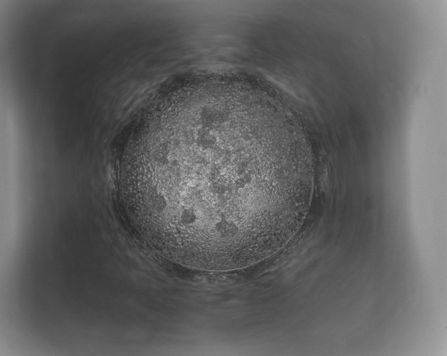 X0000112161397200908141225