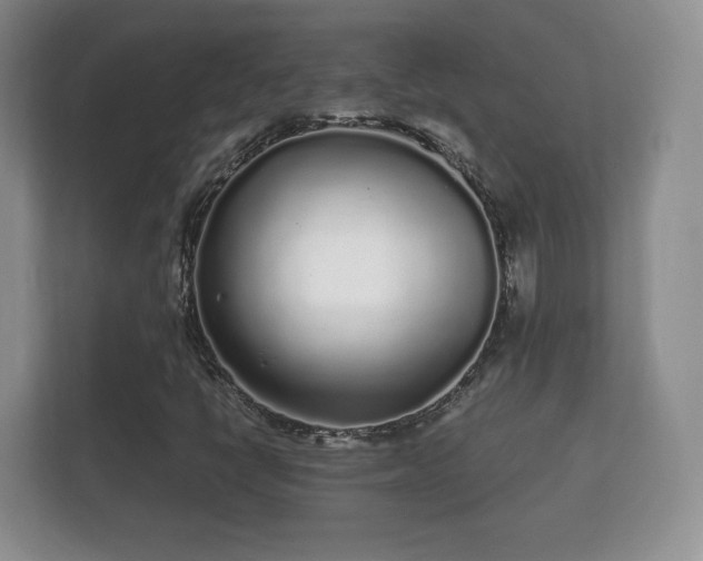 X0000112161398200908141225