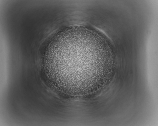 X0000112161399200908141225