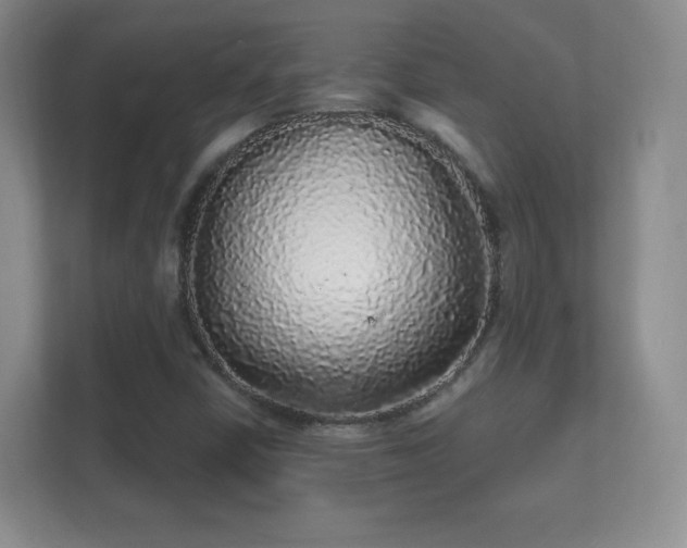X0000112161402200908141225