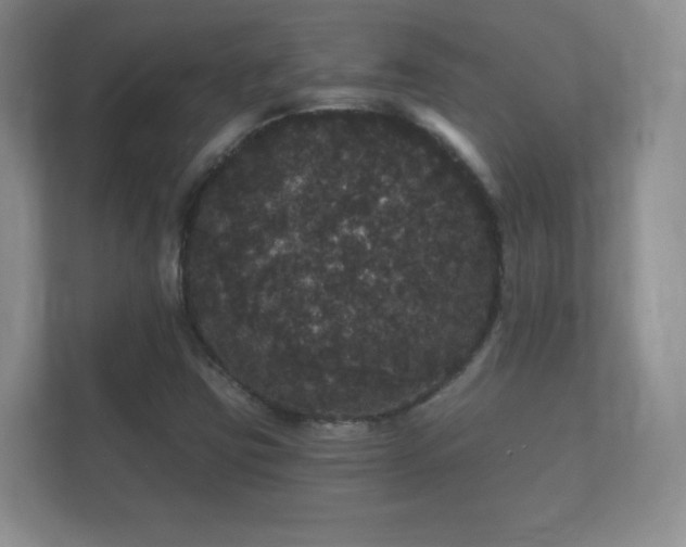 X0000112161403200908141225