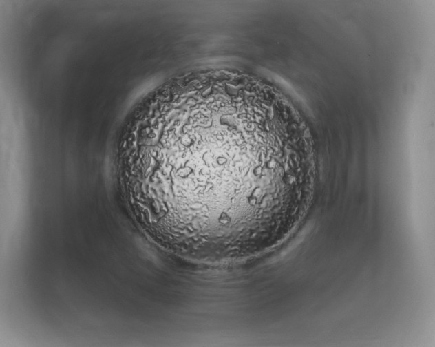 X0000112161405200908141225