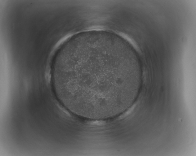 X0000112161406200908141225