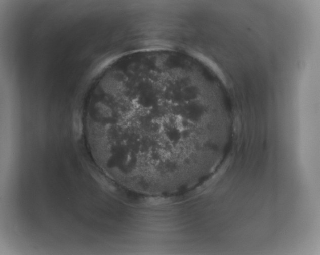 X0000112161407200908141225