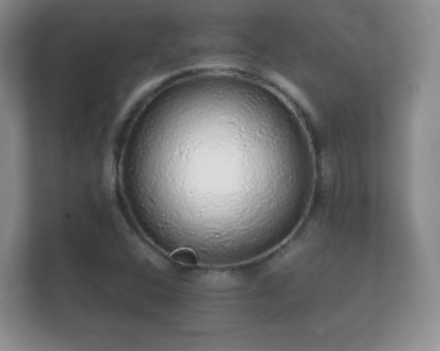 X0000112161408200908141225