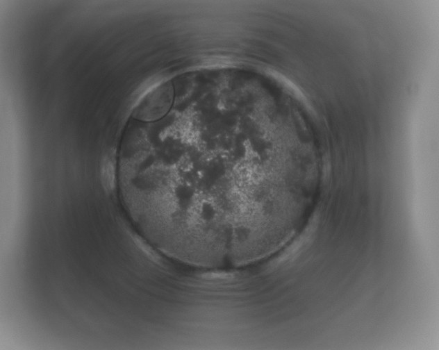 X0000112161409200908141225