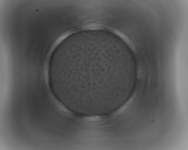 X0000112161410200908141225