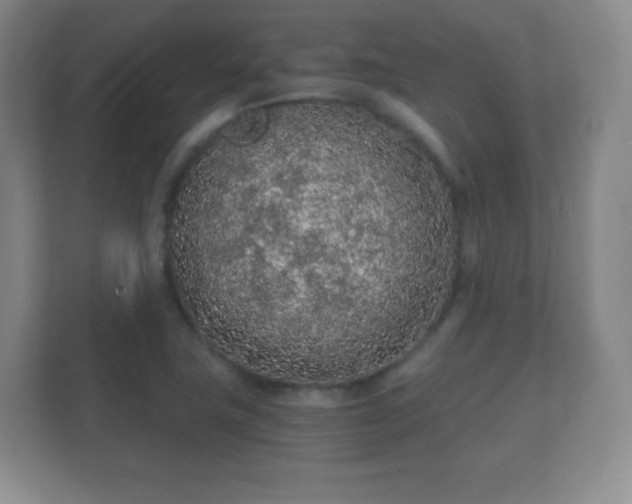 X0000112161411200908141225