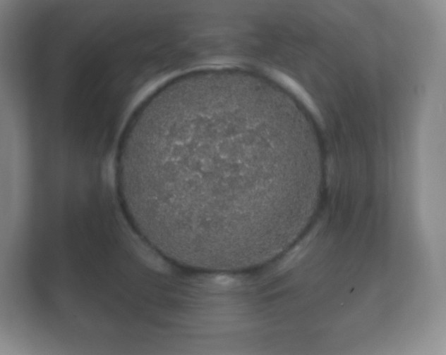 X0000112161412200908141225