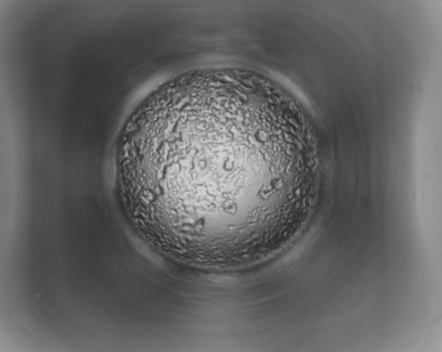 X0000112161413200908141225