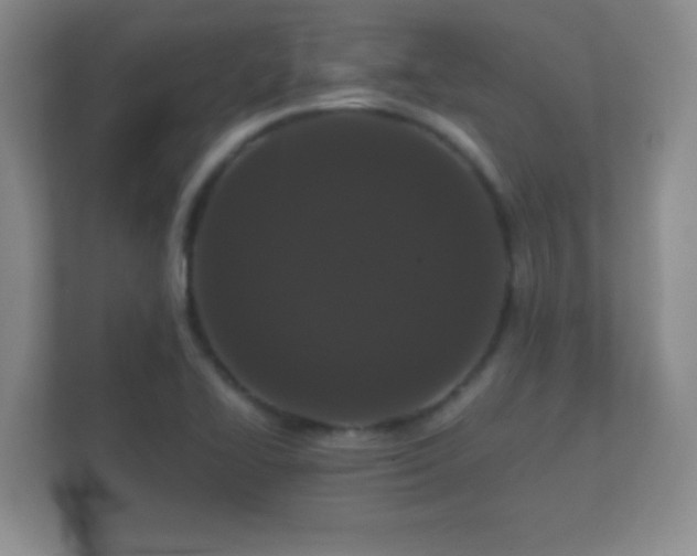 X0000112161414200908141225