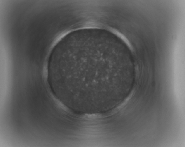 X0000112161415200908141225