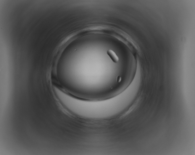 X0000112161417200908141225