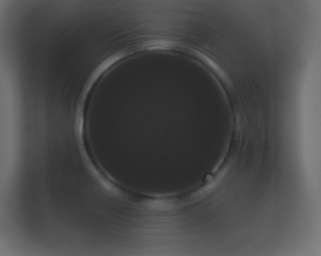 X0000112161418200908141225