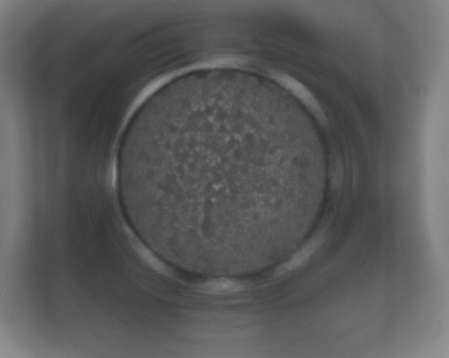 X0000112161420200908141225