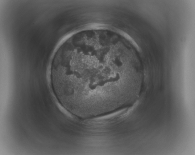 X0000112161421200908141225