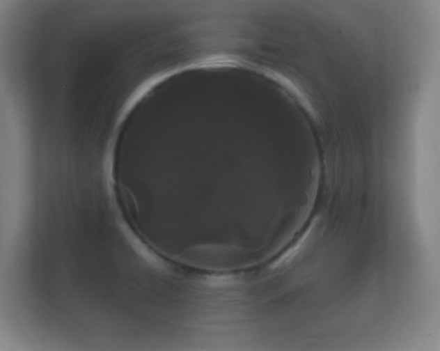 X0000112161422200908141225