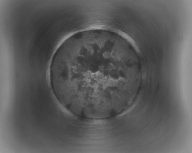 X0000112161423200908141225