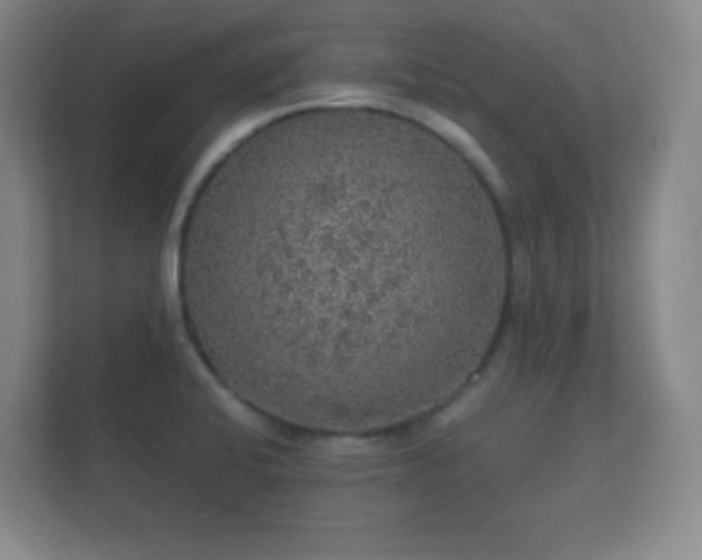 X0000112161424200908141225