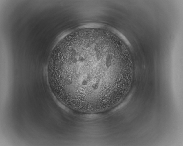 X0000112161425200908141225