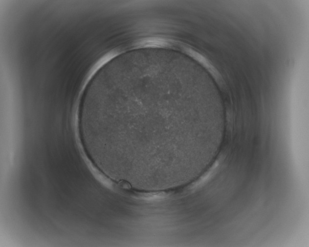 X0000112161426200908141225
