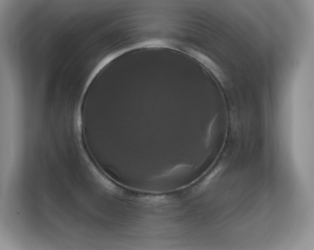 X0000112161428200908141225