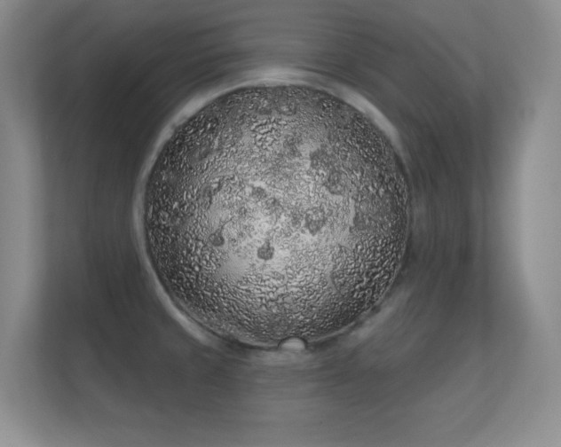 X0000112161429200908141225
