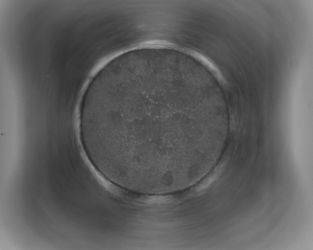 X0000112161430200908141225